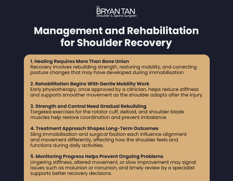 Informational graphic titled “Management and Rehabilitation for Shoulder Recovery” with five key points on healing and physiotherapy.