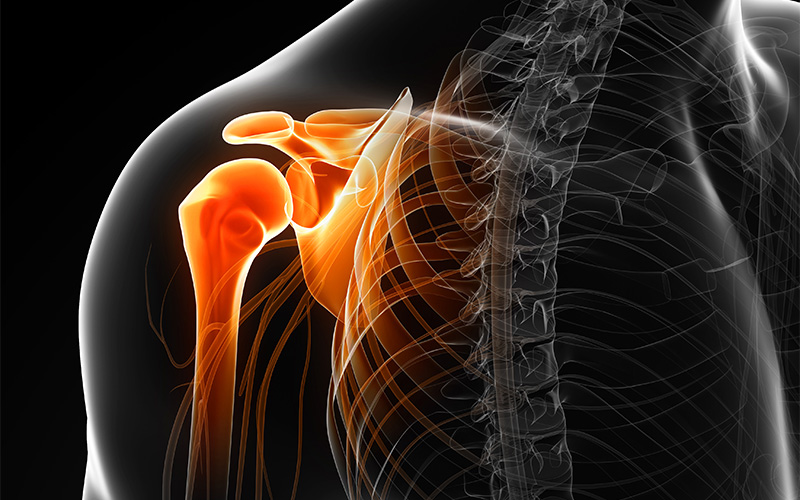 Dr. Bryan Tan illustration highlighting rotator cuff shoulder anatomy.